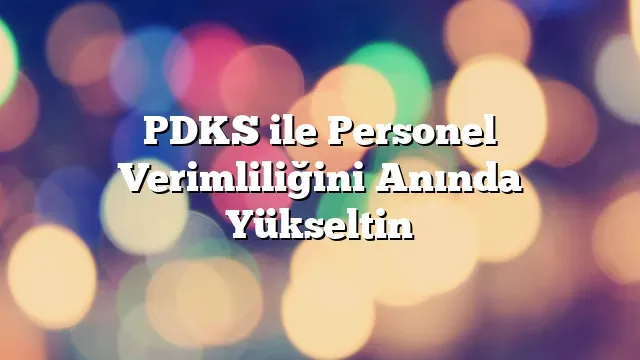 PDKS ile Verimliliği Maksimize Etmek: İpuçları ve Uygulamalar