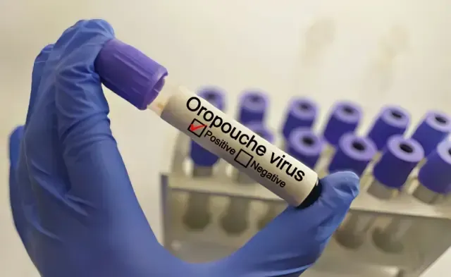 Oropouche Virüsü: Belirtileri ve Tehditleri Nedir?