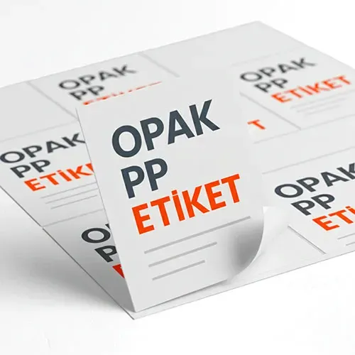 PP Etiket SSS: Yanıtlar, Kullanım İpuçları ve Avantajlar