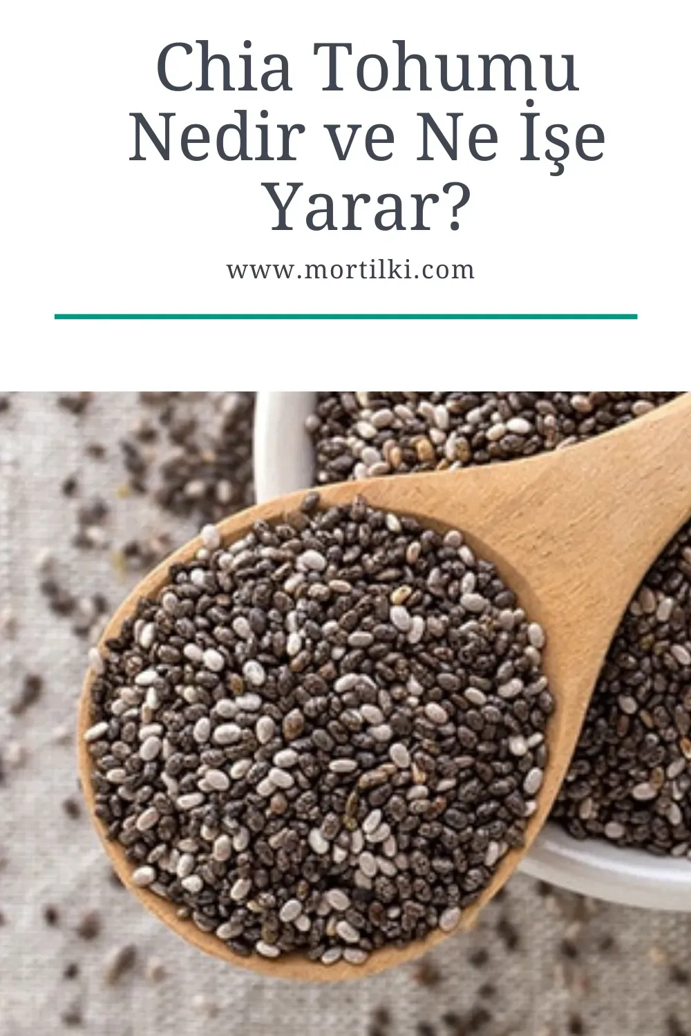 Chia Tohumları: Her Gün Tüketilmeli mi?