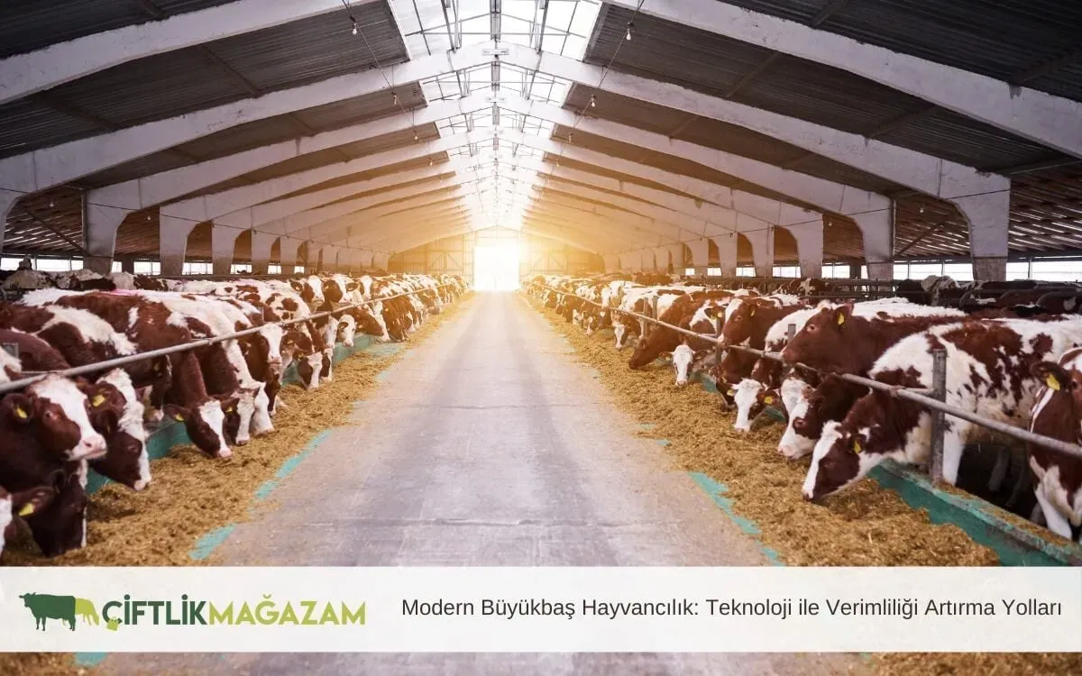 Teknoloji ile verimliliği artırma: Adım Adım Rehber