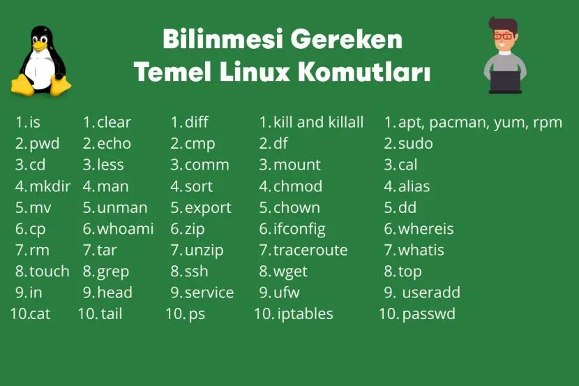 Terminal kullanımı ve temel işlevler: Kapsamlı rehber
