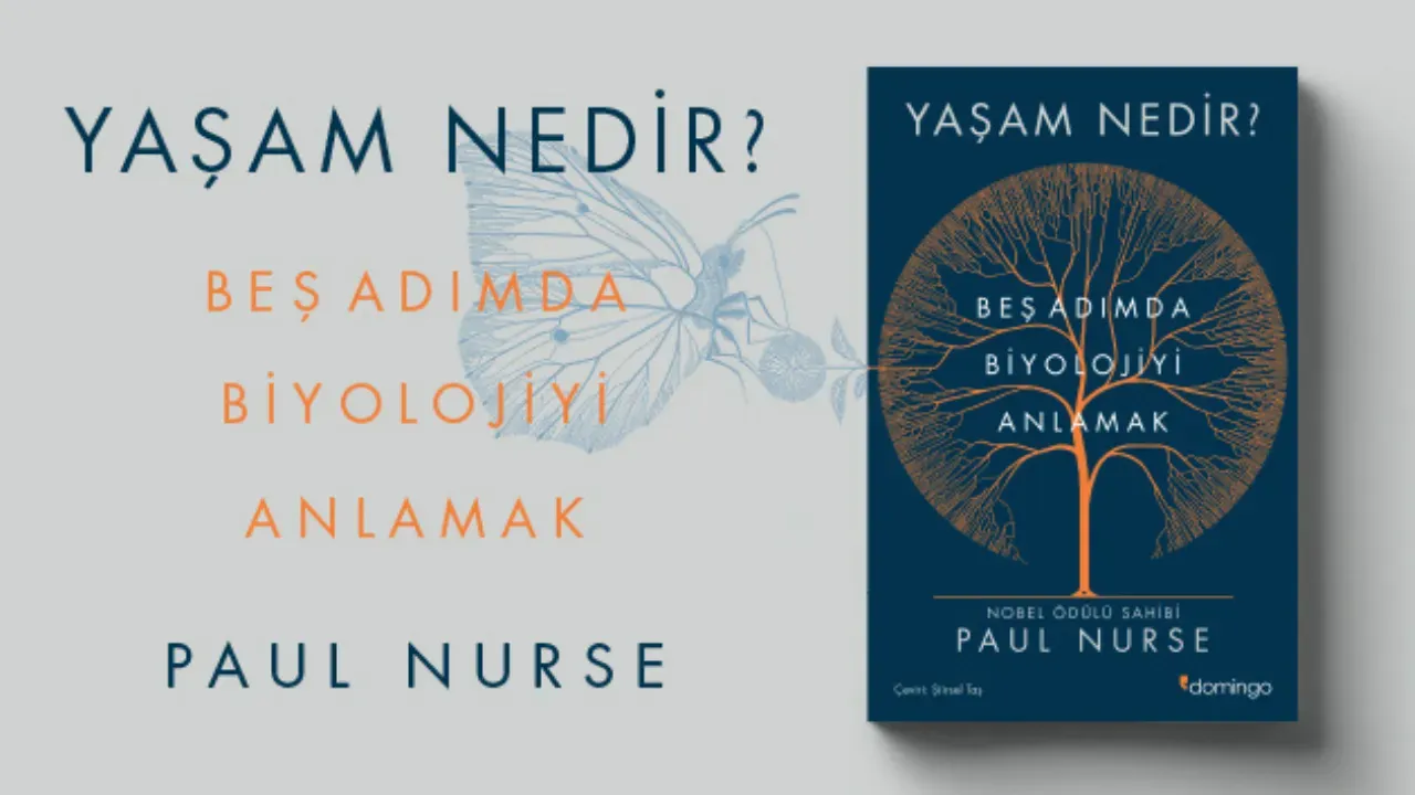 Yaşam Nedir: Hayat Kalitenizi Artıracak 7 Etkili Adım
