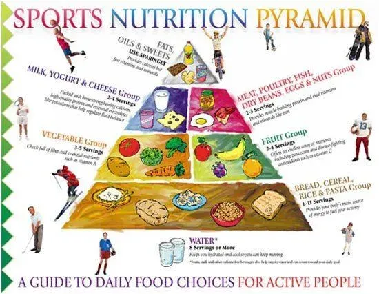 Sports nutrition guide for Peak Performance in Training