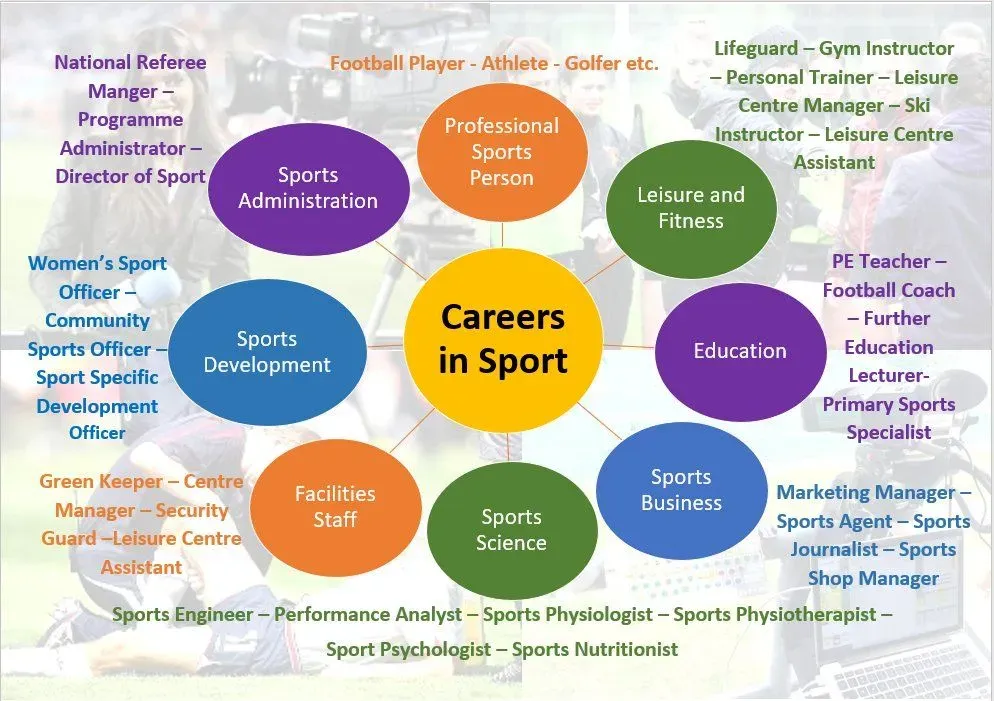 Career in sports: paths, skills, and opportunities