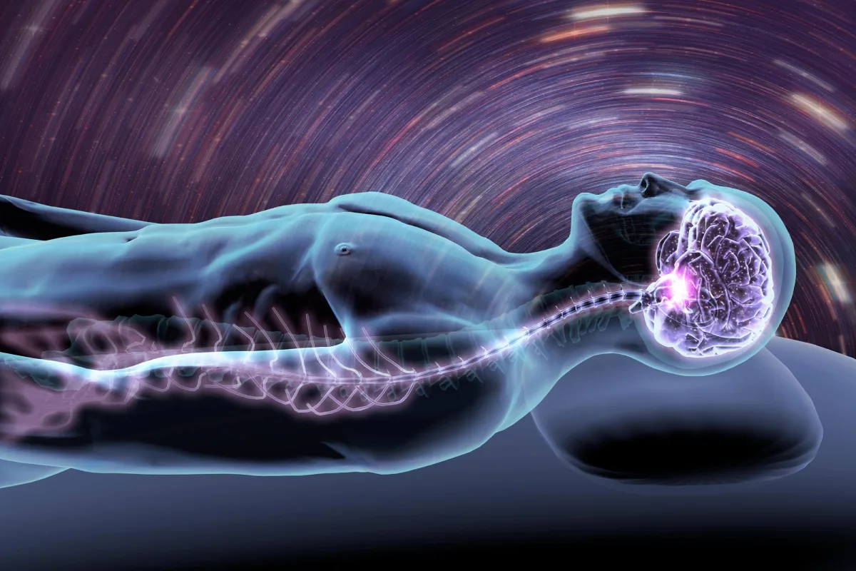 Localized Brain Recovery Might Not Require Full Sleep
