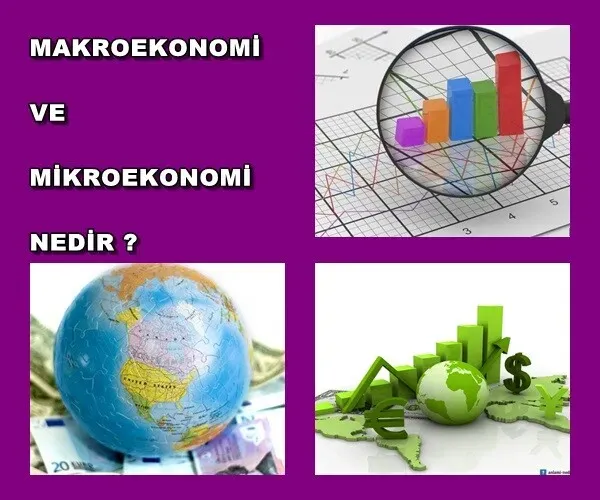 Mikroekonomi ve Makroekonomi: Öğrenciler İçin Pratik Rehber