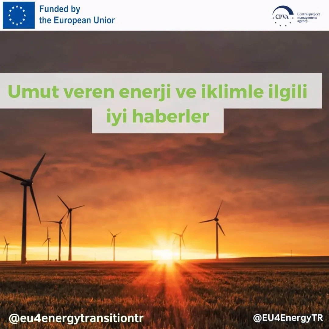 Dünya Enerji Dönüşümü: Yenilenebilir Enerji ve Depolama