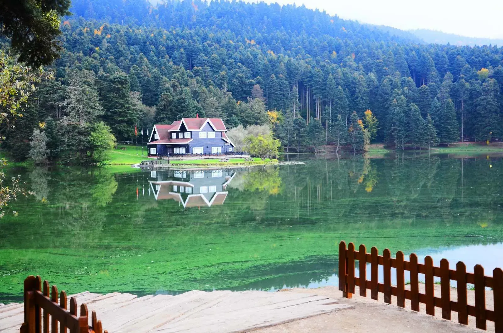 Gölcük Tabiat Parkı: Kışın Doğa Keyfi