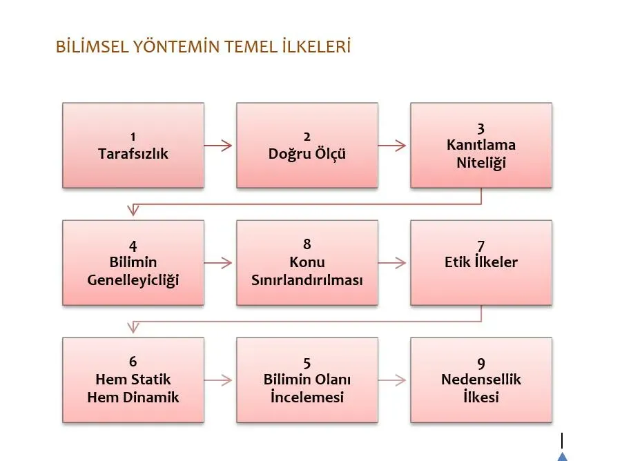 Bilimin Temel Yöntemleri: Gözlemden Sonuçlara Yolculuk